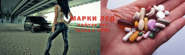 индика Майский