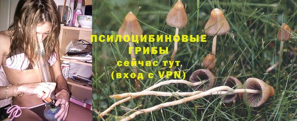 герыч Магас