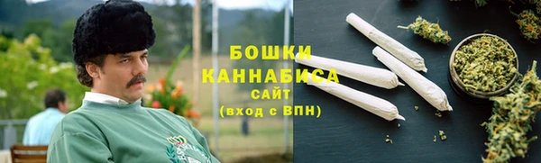 индика Майский
