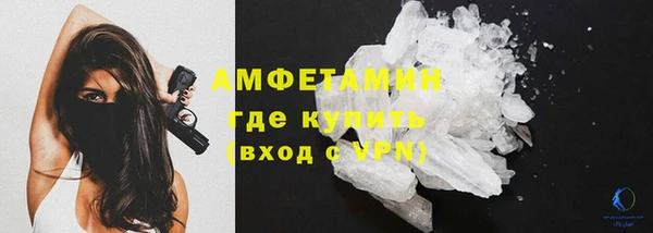 индика Майский