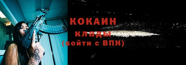 индика Майский