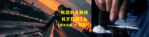 индика Майский