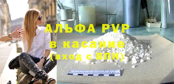 индика Майский
