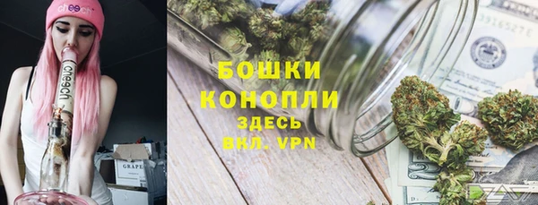 индика Майский