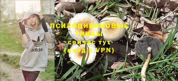 индика Майский